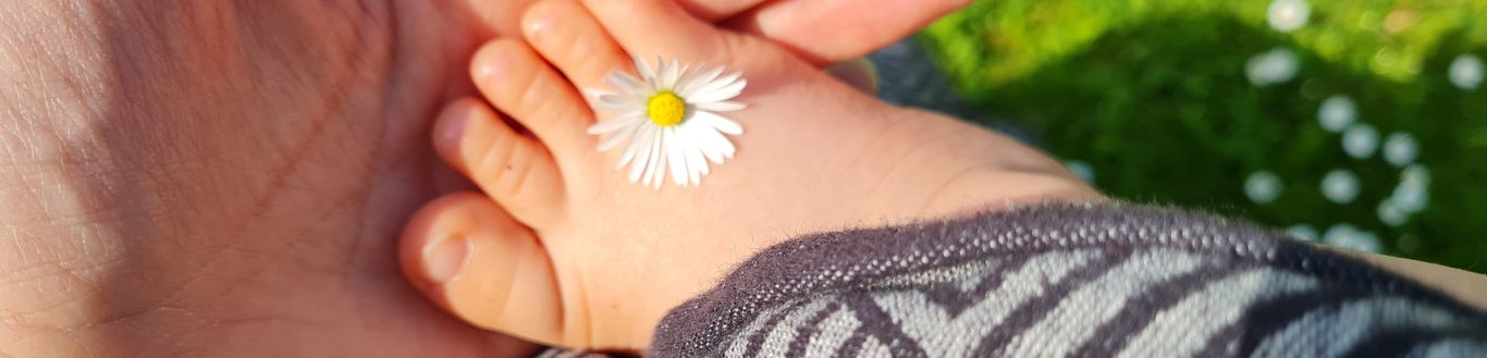 Tragen ist schön - Trageberaterin Rostock Susanne Tenthorey
